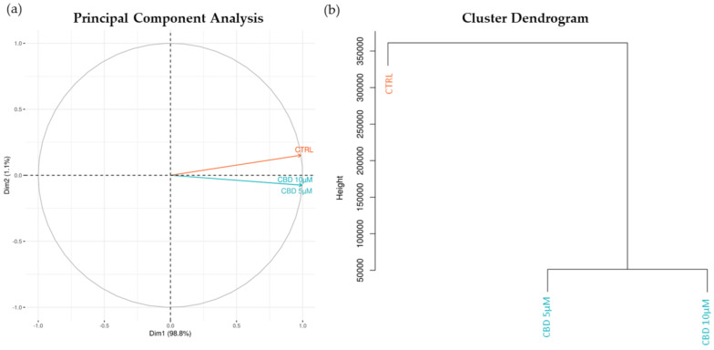 Principal Component Analysis (PCA) (a) and Cluster Dendrogram (b) of the CTRL and CBD groups obtained from the transcriptomic profile. In orange, we can see the CTRL group, whereas in blue, CBD 5 µM and CBD 10 µM are represented. Both the PCA and the dendrogram show that the two groups treated with CBD are both very distant from the CTRL group.
