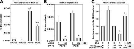 Role of PG synthases in endocannabinoid-induced PPARδ transactivation. (A) Expression profile of PG synthases in HUVECs was determined by real-time PCR. Expression level (Ro) for each gene was normalized to glyceraldehyde-3-phosphate dehydrogenase. (B) Expression of PGIS or PGFS mRNA in HUVECs after treatment with 100 nM of PGFS or PGIS siRNA (*, P < 0.05, compared with control siRNA). (C) Effects of silencing PGFS or PGIS on PPARδ transactivation in response to 2-AG. Cells were transfected with PGFS or PGIS siRNA with Oligofectamine for 4 h, and were allowed to recover in complete growth medium. After 16 h, cells were transiently transfected with PPARδ-GAL4, UAS-tk-luc, and pβ-gal with Lipofectamine in OptiMEM, followed by addition of 2-AG. Cells were harvested for luciferase activity after 24 h (*, P < 0.05, compared with vehicle).
