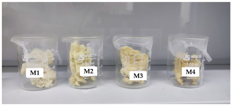 Hemp samples treated with EPTA.