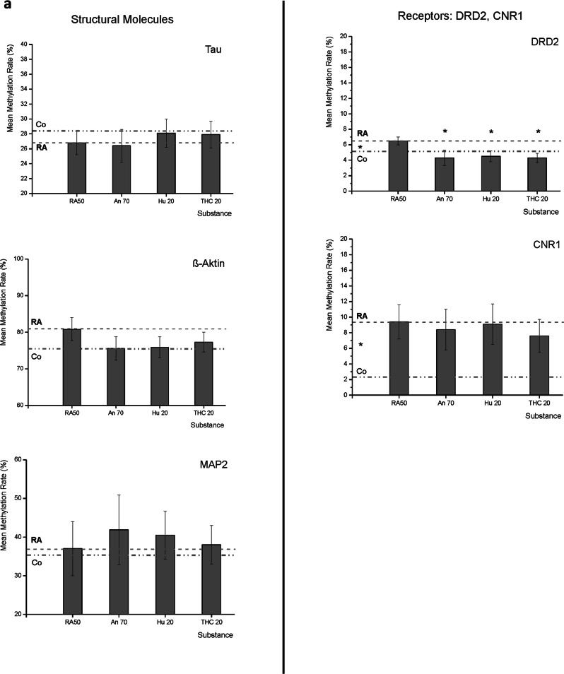 Mean DNA-methylation rates of target molecules.a Mean methylation rates of MAPT (Tau), ACTB (ß-actin), MAP2, DRD2, and CNR1 under the application of Retinoic Acid 50 µM (RA50) alone and in combination with either Anandamide (An70), HU210 (HU20) or tetrahydrocannabinol (THC20). For better subsumption of results, the broken line traces the RA50 level throughout the figure, and the dotted line represents the methylation rate of the respective target in undifferentiated control cells. Significant differences between controls and RA50-treated cells are indicated by * on the left between the two mentioned lines. In the case of DRD2, there were significant differences in methylation rates between differentiated cells and differentiated cells treated with Cannabinoids (indicated by * over the respective columns). In trend, cannabinoid treatment led to an approximation of methylation rates towards the level that was detected in untreated/undifferentiated control cells and also in the other investigated targets (besides MAP2). b Mean methylation rates of NRG1, NRXN1, SYP, ST8SIA2, ST8SIA4, and NCAM under application of retinoic acid 50 µM (RA50) alone and in combination with either Anandamide (An70), HU210 (HU20), or tetrahydrocannabinol (THC20). For better subsumption of results, the broken line traces the RA50 level throughout the figure, and the dotted line represents the methylation rate of the respective target in undifferentiated control cells. Significant differences between controls and RA50-treated cells are indicated by * on the left between the two mentioned lines. In the case of SYP, there were significant differences in methylation rates between differentiated cells and differentiated cells treated with Cannabinoids (indicated by * above the respective columns). In trend, cannabinoid treatment led to an approximation of methylation rates towards the level in untreated/undifferentiated control cells and also in the other investigated targets except for ST8SIA2 and 4.