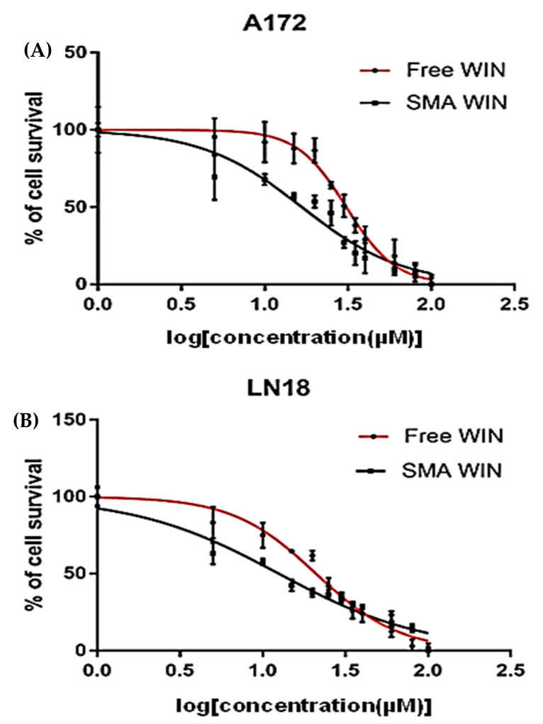 Cytotoxicity of free WIN and SMA-WIN in GBM cell lines. Dose–response curves for (A) LN18 and (B) A172 cells treated with 5–100 µM free WIN (red) or SMA-WIN (black) for 48 h, assessed by SRB assay. Data show means ± SEM from three experiments, with IC50 values indicating SMA-WIN’s greater potency (LN18: 12.48 vs. 20.97 µM; A172: 16.72 vs. 30.9 µM, p < 0.001). Concentrations are plotted on a logarithmic scale (µM). Detailed raw cytotoxicity data, including cell survival percentages at each concentration, are provided in Supplementary Table S1.