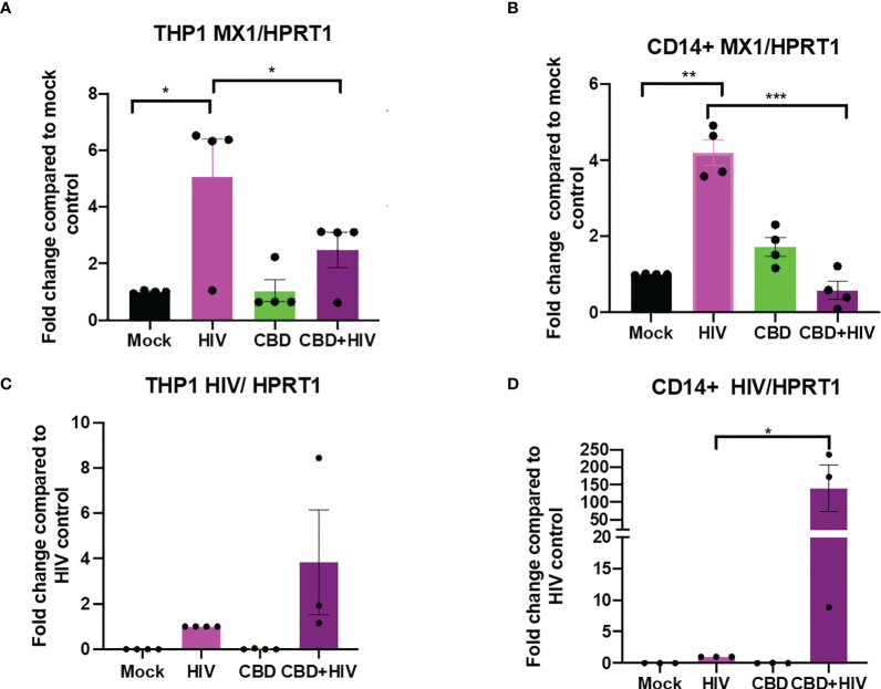 CBD suppresses ISG MX1 expression level and increase HIV RNA level 24 hours after infection in THP-1 cells and macrophages. THP-1 cells were stimulated for 5 days with PMA and primary monocytes were differentiated using M-CSF for 5 days. Cells were treated with vehicle or CBD for 24 hours followed by infection with HIV for 24 hours and harvested. Fold change of expression level of MX1/HPRT1 compared to mock in (A) THP-1 cells and (B) CD14+ primary macrophages. Fold change of HIV RNA expression level compared to vehicle treated HIV infected (C) THP-1 cells or (D) CD14+ primary macrophages as measured by real time PCR. *p<0.05, **p<0.005, ***p<0.0005.