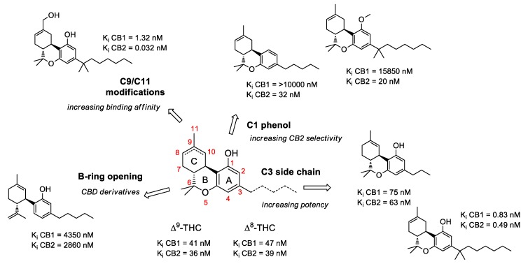 Selected examples of common chemical modifications on tetrahydrocannabinol skeleton.