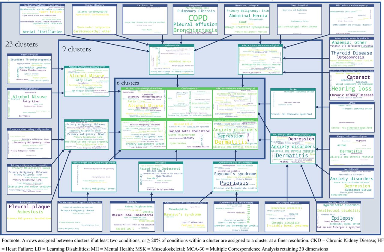 Assignment of diseases to clusters at resolutions of 23, 9 and 6 clusters, using MCA-30 embeddings