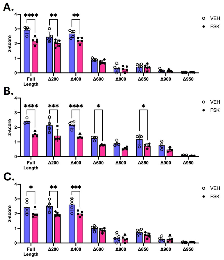 Luciferase reporter activity of full-length (FL) CNR1 promoter and deletion fragments after forskolin (FSK) treatment. The FL promoter and deletion fragments were transfected and treated with 5 µM FSK for 24 h. Luciferase reporter activity assays were performed on both FL promoter and deletion fragments with VEH (DMSO) and 5 µM forskolin (FSK) treatment. The reporter activity of the FL promoter and each fragment was calculated as a z-score of the average relative light units (RLUs) from each experiment. All three cell lines (A–C) showed the previously described decrease in activity after deletion of the regions between Δ400–Δ600 and Δ900–Δ950. In HEK293T (A) and HCT116 (B) cells, full-length, Δ200, and Δ400 fragments showed reduction in transcriptional activity, as measured by luciferase activity following FSK treatment when compared to their untreated controls. The impact of FSK treatment appears reduced in SHSY5Y cells (C). Data are represented as z-score mean ± S.D. with the average of individual replicates shown (N = 5 (HEK293T and SHSY5Y); N = 4 (HCT116)). The statistical differences were evaluated by ordinary two-way ANOVA with Šídák’s multiple comparisons test, * p < 0.05, ** p < 0.01, *** p < 0.001, **** p < 0.0001.