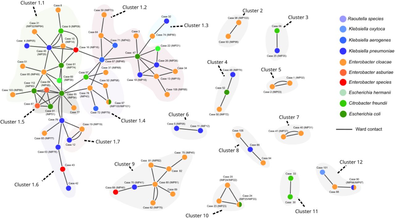Contact network of blaIMPCPE cases.Each node of the network represents a case, coloured according to CPE species (split colours indicates two species), and each edge represents a contact between two patients, i.e., patients present on the same ward on the same day based on their electronic health records. This network contains 12 distinct major clusters (each shaded in light grey, with sub-clusters 1.1-1.7 shaded in a different colour) based on disconnected components of contacts. Cluster 1, the largest cluster consisting of 45 cases, was further partitioned into seven subclusters using community detection, with edges weighted by the duration of contact (Supplementary methods – Network community detection). Six patient contacts re-occurred over different wards, indicated by additional edges connecting the same patients.