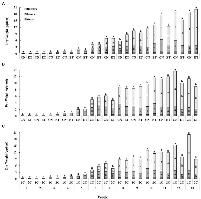 The effect of amino acid supplementation (AAs) and growing nutritional cycle on medical cannabis plant biomass. Dry biomasses of stems, leaves, and flowers in control (CN) and enhanced treatment (ET) plants with AAs nutritional supplements in recirculation (1C) growing cycle (A), in drain-to-waste (2C) growing cycle (B), ETs in 1C and 2C (C). Data are means ± SE (n = 3). The different small letters inside the bars and small bold letters above the bars represent significant differences within the medical cannabis plant organs (leaves and flowers) and the whole plant biomass between the variants in a particular week according to Tukey’s HSD test at α = 0.05.