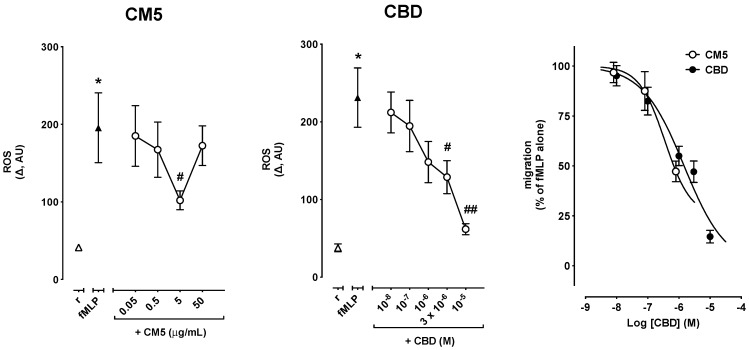 Effect of CM5 and CBD on fMLP-induced reactive oxygen species (ROS) production in PMN. ROS changes were calculated over 30 min as the difference (Δ) between resting levels and peak levels induced by fMLP. * p < 0.001 vs. resting, # p < 0.05 and ## p < 0.001 vs. fMLP alone.