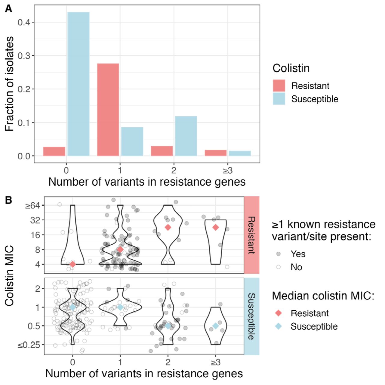 Epistatic interactions appear to influence the extent of colistin resistance in clinical CRKP isolates.(A) Most susceptible isolates have no variants in known resistance genes, while most resistant isolates have at least one variant in a known resistance gene. Many susceptible isolates also have two variants in known resistance genes, suggesting potential reversion events. (B) Colistin MIC split by total number of variants in resistance genes. Shapes indicate whether any of the variants are putative resistance variants (see methods for definition of resistance variants). On average, resistant isolates with two or more variants in resistance genes have a higher MIC than resistance isolates with one or fewer variants in resistance genes, and susceptible isolates with two or more variants in resistance genes have a lower MIC than susceptible isolates with one or fewer variants in resistance genes. Significance defined as Wilcox p < 0.05. MIC=minimum inhibitory concentration.