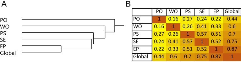 Correlative relationships between cognitive domains. (A) Hierarchical clustering of cognitive domains using Ward method. (B) Pearson’s correlation matrix. PO perceptual orientation, WO working memory, PS perceptual speed, SE semantic memory, EP episodic memory, Global global cognition.