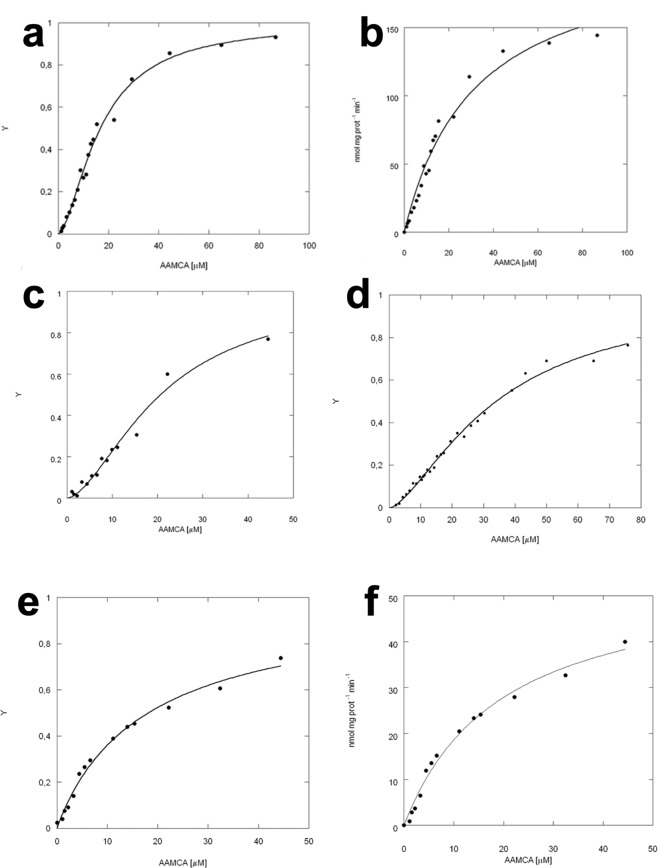 Dependence of rFAAH activity on substrate concentration. (a) Dependence of rFAAH activity on substrate concentration, interpolated through the Hill equation; (b) rFAAH shows a canonical sigmoidal curve in the presence of increasing concentration of the AAMCA substrate, that is not fitted equally well by non-linear regression through the Michaelis-Menten equation; (c) rFAAH in the presence of URB597 at a homodimer:inhibitor 1:0.5 molar ratio shows a sigmoidal behaviour; (d) Kinetic analysis of rFAAH F432A mutant indicates that P432 residue is involved in the catalytic activity of the enzyme, but not in the modulation of cooperativity; (e) Kinetic analysis of rFAAH W445Y mutant interpolated through the Hill formalism; (f) Kinetic analysis of rFAAH W445Y mutant shows loss of the sigmoidal behaviour, leading to a canonical hyperbolic Michaelis-Menten enzyme without any cooperativity.