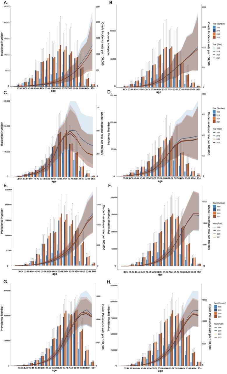 Age-specific comparison of incidence and prevalence burden: counts and crude rates (1990–2021). Comparative of the incidence and prevalence counts, along with their crude rates, by age group from 1990 to 2021[X-axis: Age groups. Panels A-D: Left Y-axis: Incidence Number; Right Y-axis: Crude Incidence Rate (CIR). Panels E-H: Left Y-axis: Prevalence Number; Right Y-axis: Crude Prevalence Rate (CPR). Bar charts: Count; Line charts: Crude Rate. Color keys: Light blue (1990), Dark blue (2019), Yellow (2020), Brown-red (2021)]: (A) Incident Number and CIR in China; (B) Incidence Number and CIR in South-East Asia Region; (C) Incidence Number and CIR in European Region; (D) Incidence Number and CIR in Global; (E) Prevalence Number and CPR in China; (F) Prevalence Number and CPR in South-East Asia Region; (G) Prevalence Number and CPR in European Region; (H) Prevalence Number and CPR and CIR in Global.