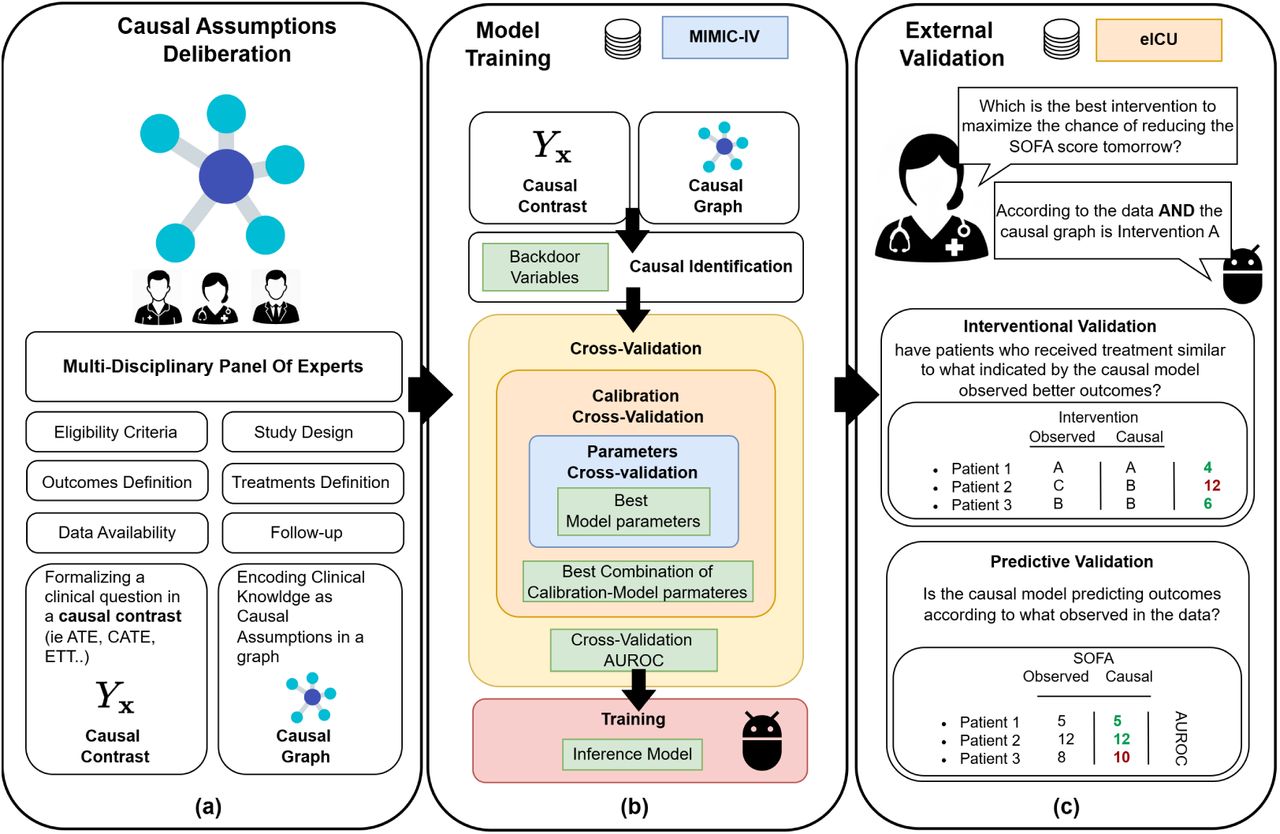 Visual summary of the core parts of the causal analysis.
