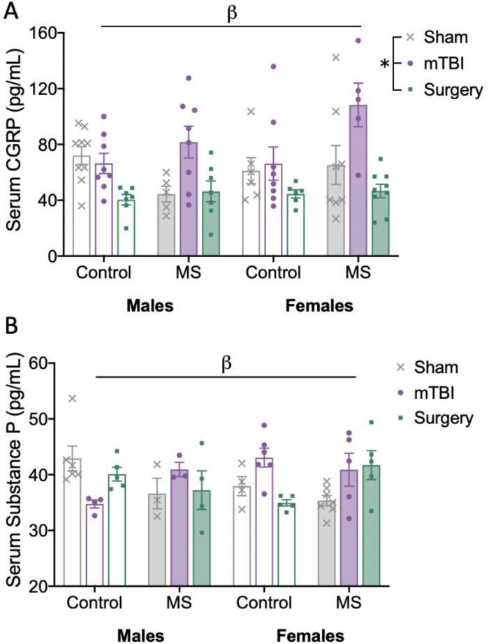 Bar graphs displaying results for serum ELISAs. Means and individual data points ± standard error are shown. (*) indicates a main effect of injury, and (β) indicates a significant interaction; p’s < 0.05. A) Serum levels of CGRP, whereby the interaction observed was stress*injury, B) Serum levels of Substance P, whereby the interactions observed were stress*injury and sex*stress*injury.