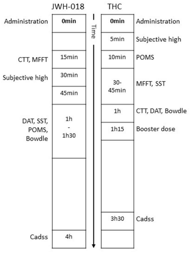 Timeline of subjective questionnaires and cognitive tests relative to time of drug administration.