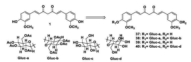 Chemical structures of curcumin-glucoside derivatives 36-39.