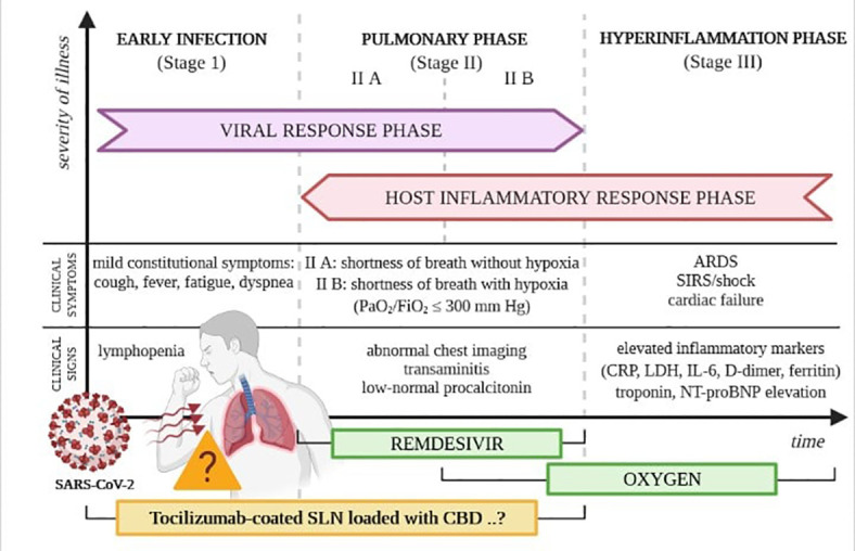 Phases of the clinical course of COVID-19. Own drawing, based on (60).