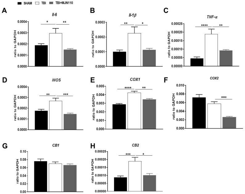 Treatment with MJN110 suppressed the expression of neuroinflammatory molecules and the CB2 receptor in the TBI mouse brain. The fresh cortex tissues from mice 4 days post-TBI were subjected to qRT-PCR analysis. The mRNA expression of pro-inflammatory cytokines IL-6, IL-1β and TNF-α (A–C) and the expression of iNOS, COX-1, COX-2, CB1 and CB2 receptors (D–H) were compared between sham, TBI/vehicle and the MJN110 (2.5 mg/kg) treatment groups. (* p < 0.05, ** p < 0.01, *** p < 0.001 and **** p < 0.0001. n = 15 animals in each group; Bars represent means ± SEM).