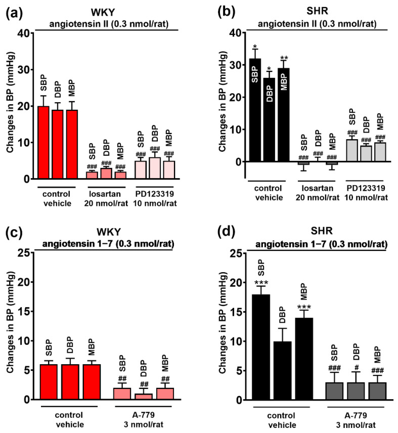 Effect of angiotensin II (AT1/2 receptor agonist) (a,b) and angiotensin 1–7 (Mas receptor agonist) (c,d) on systolic (SBP), diastolic (DBP) and mean (MBP) blood pressure, and their interaction with AT1, AT2 and Mas receptor antagonists (losartan, PD123319 and A-779, respectively) injected into the paraventricular nucleus of hypothalamus (PVN) in conscious Wistar Kyoto (WKY) and spontaneously hypertensive rats (SHR). Results are presented as mean ± SEM (n = 7–8) and calculated as change in basal values determined before agonist injection. # p < 0.05, ## p < 0.01, ### p < 0.001 compared to the corresponding control group; * p < 0.05, ** p < 0.01, *** p < 0.001 compared to WKY.