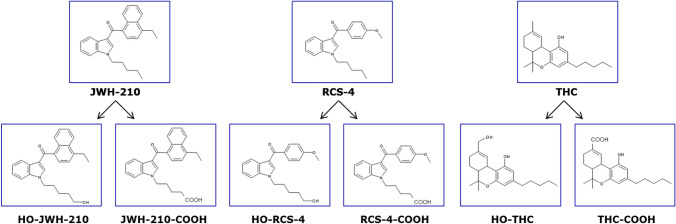 Molecular structures of the tested drugs and their main metabolites