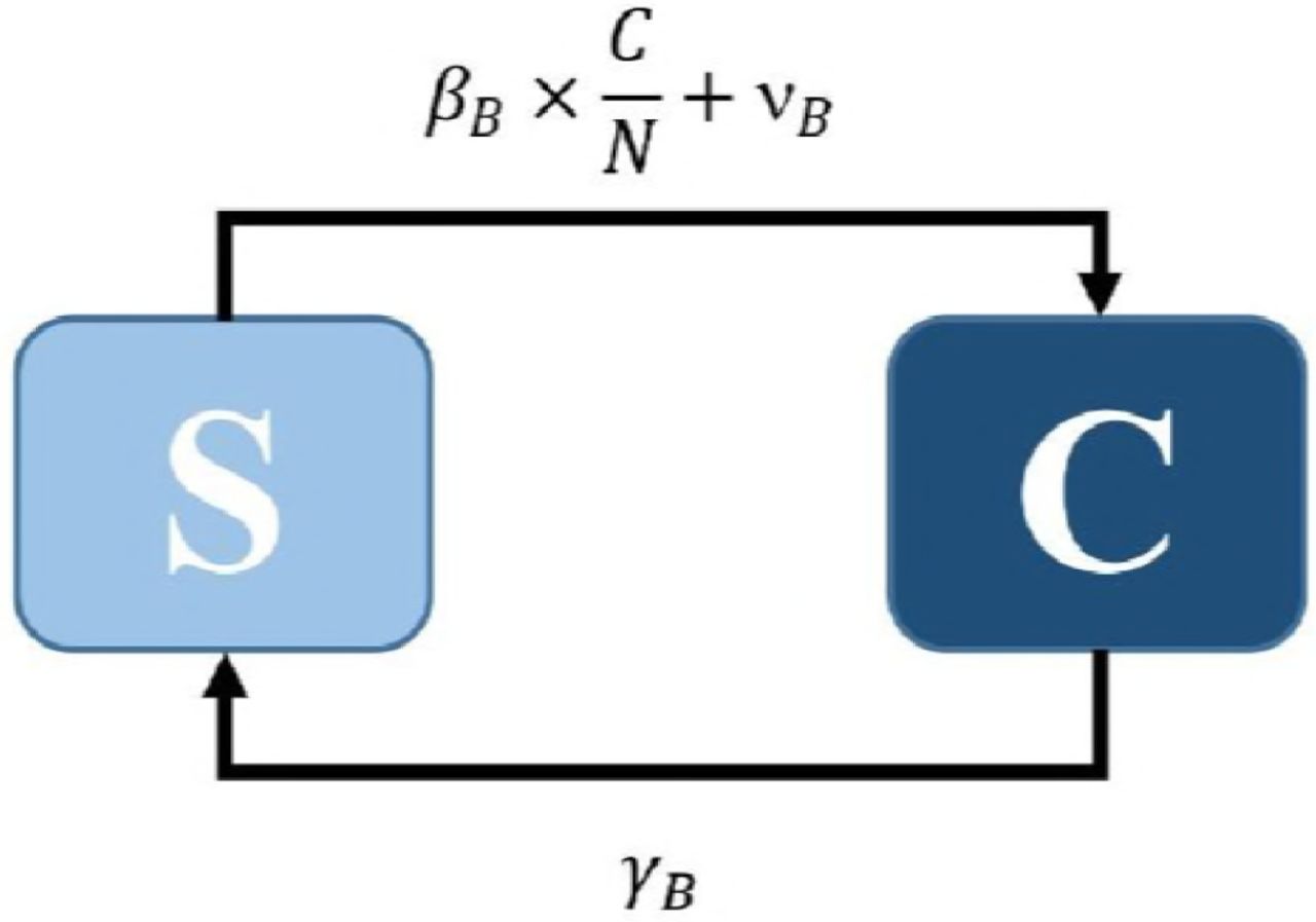 Representation of the model.S and C are the susceptible and colonized compartments. βB is the weekly effective contact rate, N is the total number of patients within the hospital, vB is the weekly colonization-acquisition rate via the endogenous route or the environment and γB is the decolonization rate of bacteria B.