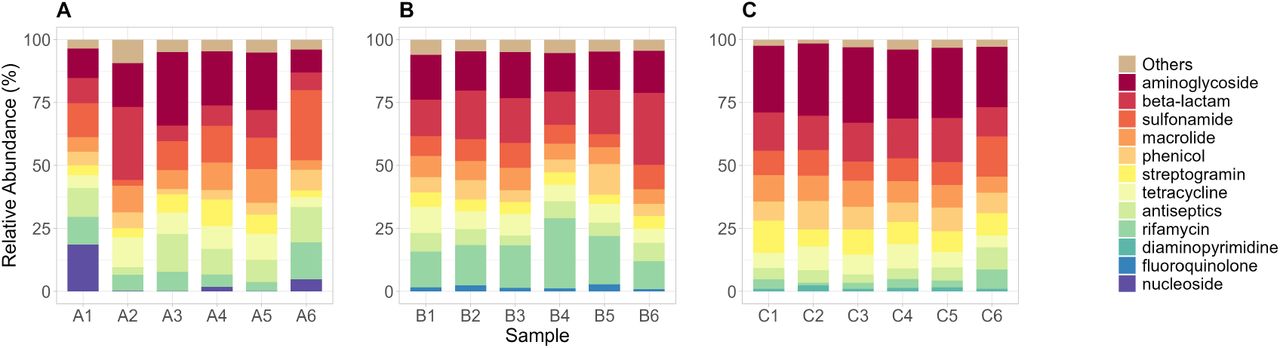 Top 10 drug classes based on combined relative abundances of associated ARGs identified in Hospital A (A), Hospital B (B), and Hospital C (C). Drug classes not part of the top 10 were grouped as “Others.”