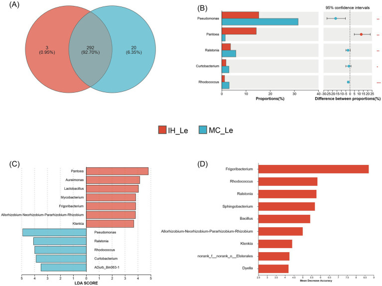Differential leaf endophytic bacteria of industrial hemp and medical Cannabis. (A) Venn diagram of leaf endophytic bacteria. (B) Differential analysis of leaf endophytic bacterial genera. *0.01 < p ≤ 0.05; **0.001 < p ≤ 0.01; ***p ≤ 0.001. (C) Graphical summary at the genus in group sample type of biomarkers by LEfSe. (D) Significant features identified by random forest.