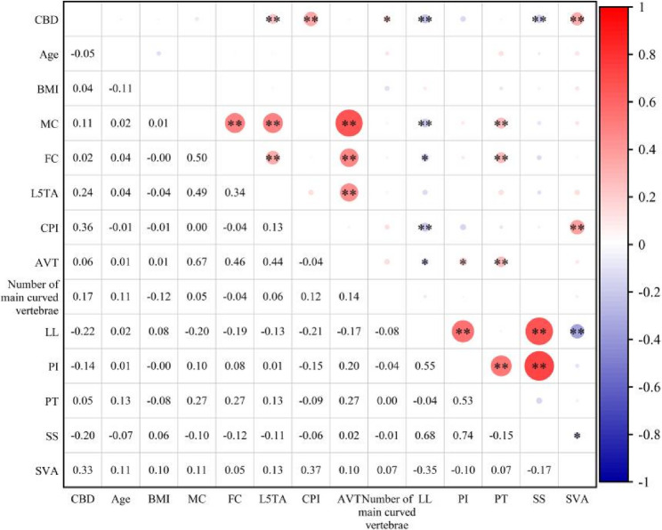 Pearson Correlation Heatmap.** indicates significance at the 0.01 level (two-tailed, p < 0.01); * indicates significance at the 0.05 level (two-tailed, p < 0.05). Abbreviations: BMI, Body Mass Index; CBD, Coronal Balance Distance; MC, Major Curve; FC, Fractional Curve; L5TA, L5 Tilt Angle; CPI, Coronal Pelvic Inclination; AVT, Apical Vertebral Translation; LL, Lumbar Lordosis; PI, Pelvic Incidence; PT, Pelvic Tilt; SS, Sacral Slope; SVA, Sagittal Vertical Axis