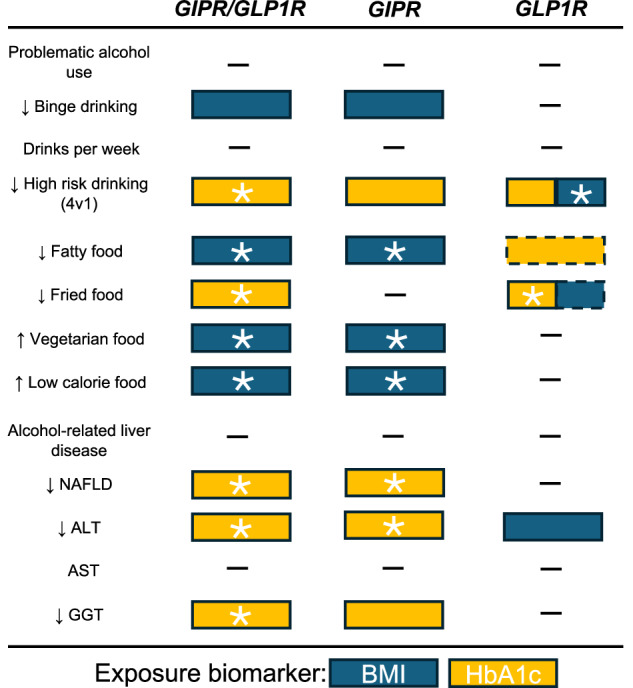 Summary of protective associations for GIPR/GLP1R, GIPR, and GLP1R targets across alcohol-related, dietary, and liver traits.This figure presents traits with consistent protective or beneficial associations across both primary and replication datasets for each receptor target (GIPR/GLP1R, GIPR, GLP1R), using either BMI (blue) or HbA1c (yellow) as the exposure biomarker. Arrows indicate direction of effect. Asterisks (*) denote associations that surpassed the Bonferroni-corrected significance threshold (P < 0.0025). Results with dashed borders surpassed testing for multiple comparisons in either the primary or replication exposure data but had P-value > 0.05 in the other. Traits shown include alcohol use behaviors (e.g., binge drinking, high-risk drinking), dietary preferences (e.g., fatty, fried, vegetarian, and low-calorie foods), and liver-related outcomes (e.g., NAFLD, ALT, AST, GGT). GIPR glucose-dependent insulinotropic polypeptide receptor, GLP1R Glucagon-like peptide-1 receptor, HbA1c glycated hemoglobin, BMI body mass index.