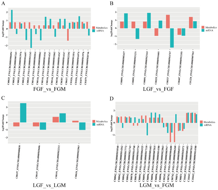 Differential expression results for metabolites and associated transcripts in each group: (A) FGF_vs_FGM; (B) LGF_vs_FGF; (C) LGF_vs_LGM; (D) LGM_vs_FGM.