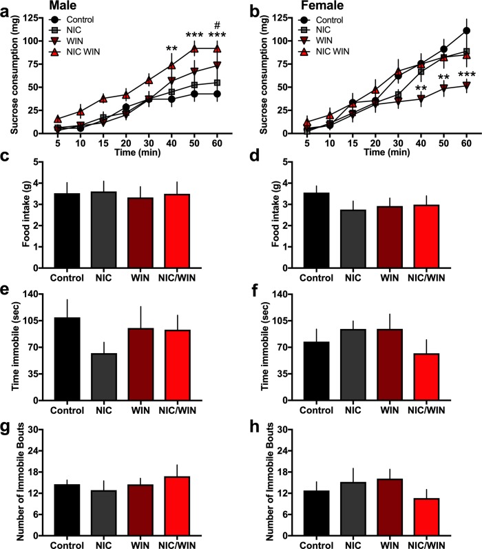 Within sex-specific effects in natural reward consumption, but not other depression-associated behaviors, in adult mice following adolescent exposure to nicotine and/or a moderate dose of WIN.(a) Male subjects (n = 5-8/group) were examined for cumulative sucrose consumption during a 1 hr test. The NIC/WIN mice exhibited a significant increase in sucrose consumption at the 40, 50 and 60 min time points, as compared to the control group. **p<0.01, ***p<0.001 Further, the WIN group consumed greater sucrose than the control group at the 60 min time point. #p<0.05 (b) In contrast, female mice (n = 7-9/group) exhibited a differential effect, with the WIN treated group consuming less sucrose pellets than the control group at the 40, 50 and 60 min time points. **p<0.01, ***p<0.001 (c-d) Since sucrose consumption could be secondary to generalized food intake among groups, subjects were examined for standard chow intake during a restricted 6hr daily feeding period. Male groups did not differ in chow food intake (c), nor did the female groups (d). (e-h) To examine whether the sucrose consumption findings were consistent with other measures of depression-associated behaviors, the forced swim test was employed. Groups did not differ in the time immobile for both males (e) and females (f). Similarly, groups did not differ in the number of immobile bouts for both males (g) and females (h). Data represent mean values ± SEM.
