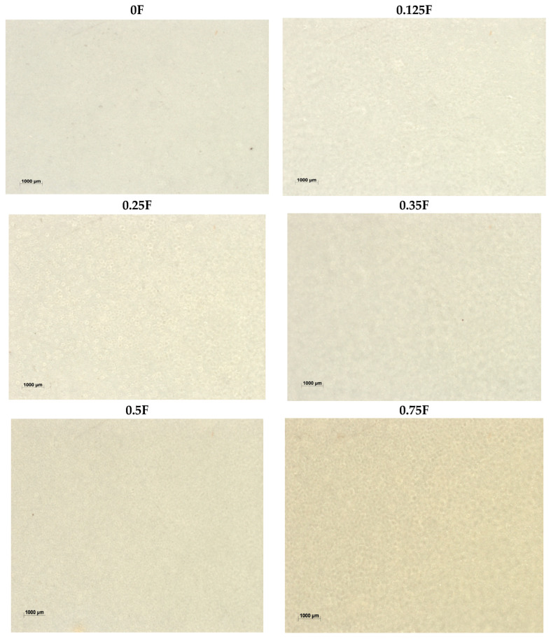 Images of polysaccharide films (0F, 0.125F, 0.25F, 0.35F, 0.5F, 0.75F) made with a stereoscopic microscope.