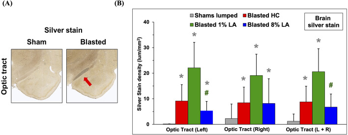 (A) Representative histopathological images (10x) are displayed for the interconnecting left side brain optic tracts from the corresponding sham and blasted animals. Silver stains highlight axonal fiber degeneration in the optic tracts that lie directly between the hypothalamus and amygdala regions of the rat brain. (B) Bar graphs depicting silver stain density of brain regions from sham (lumped) and blast plus weight drop exposed rats at 14 days post-insult (mean ± SD, n = 4). Brain optic tract images were taken at a higher power magnification to help reveal cellular feature. *p ≤ 0.05; significant difference from shams, as by t-test. #p ≤ 0.05; significant difference between diets.