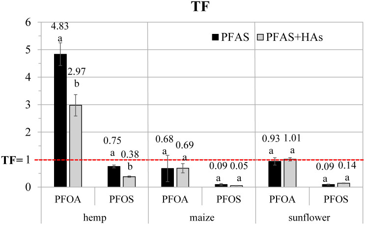 Bar chart showing transfer factor (TF) values for hemp, maize, and sunflower crops exposed to PFOA and PFOS, comparing PFAS alone (black bars) and PFAS plus humic acids (gray bars). TF values for hemp and PFOA are highest, with significant reductions for PFAS plus humic acids. Red dashed line at TF equals 1 indicates the threshold. Error bars and small letters denote statistical differences.