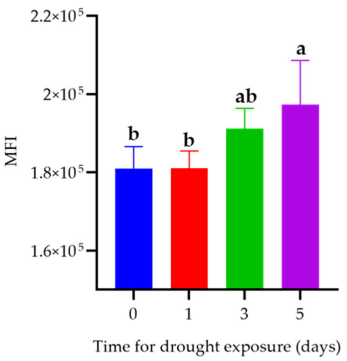 Effect of drought on ROS level in hepatopancreas. Mean fluorescence intensity (MFI). Data are represented as mean ± SEM (n = 5). Different lowercase letters on the bar chart indicate the significant differences between different drought times (p < 0.05).