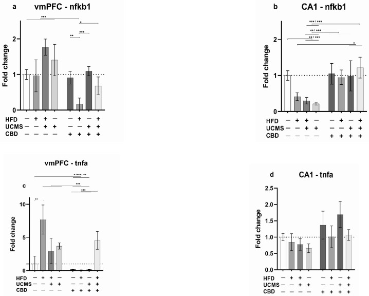 The influence of CBD administration on the expression of inflammatory markers in the vmPFC and CA1 in female rats exposed to HFD and UCMS. (a): vmPFC: nfkb1 expression was downregulated in the HFD-No UCMS-CBD group compared to all other groups. (b): CA1: nfkb1 expression was significantly downregulated in the No HFD-UCMS-Vehicle and HFD-UCMS-Vehicle groups compared to the control group (No HFD-No UCMS-Vehicle) and all CBD groups (HFD-UCMS-CBD, HFD-No UCMS-CBD, No HFD-UCMS-CBD, No HFD-No UCMS-CBD). The HFD-No UCMS-Vehicle group demonstrated significantly downregulated nfkb1 expression compared to the HFD-UCMS-CBD and No HFD-UCMS-CBD groups. (c): vmPFC: tnfa expression was upregulated in the HFD-UCMS-Vehicle, No HFD-UCMS-Vehicle, HFD-No UCMS-Vehicle, and HFD-UCMS-CBD groups compared to HFD-No UCMS-CBD, No HFD-No UCMS-CBD, and No HFD-UCMS-CBD groups. The No HFD-No UCMS-Vehicle group showed higher tnfa expression compared to HFD-No UCMS-CBD, No HFD-No UCMS-CBD, and No HFD-UCMS-CBD groups. The HFD-No UCMS-Vehicle group demonstrated tnfa upregulation compared to the No HFD-No UCMS-Vehicle control group. (d): CA1: There were no differences in tnfa expression between the groups. (e): vmPFC: il1β expression was upregulated in the HFD-UCMS-Vehicle group compared to all other groups. The HFD-UCMS-CBD group exhibited higher il1β expression compared to the No HFD-UCMS-CBD group. (f–h): There were no significant differences between the groups in the expression of il1β in the CA1 (f), il6 in the vmPFC (g), and il6 in the CA1 (h). CBD: cannabidiol; HFD: high-fat diet; UCMS: unpredictable chronic mild stress; vmPFC: ventromedial prefrontal cortex; CA1: Cornu Ammonis 1 region of the hippocampus. *, p < 0.05, **, p < 0.01, ***, p < 0.001. Each group consisted of 8 rats.