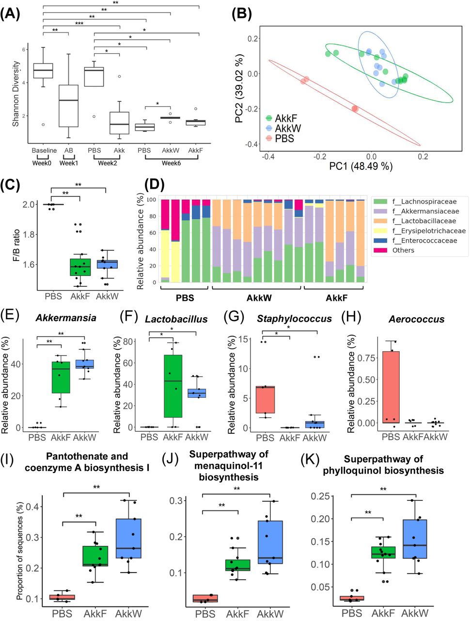 A. muciniphila exerts beneficial effects by inducing compositional and functional shifts of microbiota.(A) Alpha diversity (Shannon) changes after different treatment or diet was applied. (B) Beta diversity plot based on weighted UniFrac showing a clear separation between A. muciniphila treated groups from control (PBS) group. (C) F/B (Fermicutes/Bacteroidetes) ratio changes by A. muciniphila treatment. (D) Family-level microbial taxonomy structure in each sample. (E-H) Box plots showing changes of relative abundance of genera (E) Akkermansia (F) Lactobacillus (G) Staphylococcus (H) and Aerococcus by A. muciniphila treatment. (I-K) Prediction of functional abundance of microbiome using PICRUSt2 showing Pantothenate (Vitamin B5), menaquinol-11 (Vitamin K2), and phylloquinol (Vitamin K1) after A. muciniphila treatment. (B-K) Analyses were performed at week 6. Sample size is n=5-9/group. Statistical significance was determined by Kruskal-Wallis test, followed by pairwise Wilcoxon rank sum test as post hoc analyses. Values were considered statistically significant at p-val < 0.05. * p-val < 0.05, ** p-val < 0.01, *** p-val < 0.001.