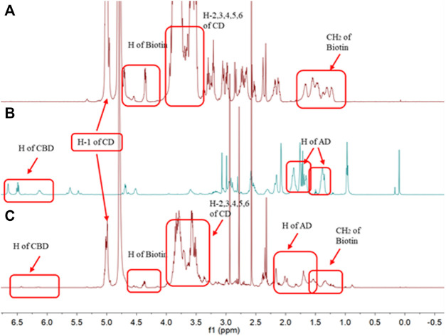 1H NMR spectra for (A) BIO-CD in D2O, (B) AD-CBD in CDCl3, and (C) the inclusion complex of AD-CBD/BIO-CD in D2O.