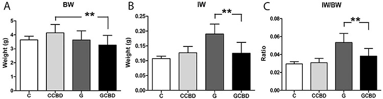 Morphological analysis. Data are reported as means±SD. A, body weight (BW; g). B, intestinal weight (IW, g). C, Intestinal weight/body weight ratio (IW/BW). C: control; CCBD: control+cannabidiol; G: gastroschisis; GCBD: gastroschisis+cannabidiol. **P<0.005 (ANOVA).