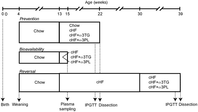 Timeline of dietary studies.All mice were weaned on Chow diet at 4 weeks of age. In the ‘prevention’ and ‘bioavailability’ studies, 3-month-old mice were switched from Chow to cHF, cHF+ω3TG and cHF+ω3PL diets for a period of 2 or 9 weeks, respectively, as indicated. In the ‘reversal study’, mice were fed cHF diet for a period of 4 month, followed by 9-week-feeding using cHF, cHF+ω3TG and cHF+ω3PL diets. In the ‘bioavailability’ study, cHF+ω3TG and cHF+ω3PL diets with several different concentrations of DHA and EPA were used (see Methods and Figure 2A,B), while in the ‘prevention’ and ‘reversal’ studies these diets were matched for their DHA/EPA content (i.e. 30 g DHA/EPA per kg diet), except for the ‘prevention’ study, in which a subgroup of mice was also treated using cHF+ω3PL diet containing 10 g DHA/EPA per kg diet. See Methods for further details. IPGTT, intraperitoneal (i.p.) glucose tolerance tests.