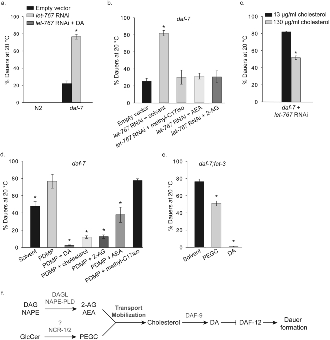 PEGCs and endocannabinoids stimulate cholesterol transport by employing parallel pathways. (a) RNAi of let-767 leads to a significant increase of dauers compared to control plates in daf-7 mutant background (empty vector; from ~20% to ~80%), but has no effect on wild type (N2) dauer formation. Kruskal-Wallis one-way analysis of variance on ranks, p < 0.001, All pairwise multiple comparison procedures (Dunn’s Method), (*) indicates statistically significant difference between daf-7/empty vector and daf-7/let-767 RNAi, p < 0.05. Bars represent mean values and error bars represent standard errors. The number of independent experiments is n = 6 for N2/empty vector, and N2/let-767 RNAi, n = 27 for daf-7/empty vector, n = 33 for daf-7/let-767 RNAi, and n = 6 for daf-7/let-767 RNAi+DA. [DA] = 90 nM. (b) daf-7 on let-767 RNAi at 20 ºC forms ~80% dauers. Supplementation with either of the endocannabinoids 2-AG and AEA, or the addition of methyl-C17iso suppresses dauer formation significantly. Kruskal-Wallis one-way analysis of variance on ranks, p < 0.001. Multiple comparisons versus control group (Dunn’s Method). (*) indicates statistically significant difference with empty vector, p < 0.05. Bars represent mean values from at least three independent experiments and error bars represent standard errors. [2-AG] or [AEA] = 50 µM. [methyl-C17iso] = 100 µM. (c) daf-7 let-767 RNAi worms partly bypass dauer arrest if grown in excess cholesterol (130 µM). (*) indicates statistically significant difference with control plates (13 µM cholesterol). Mann-Whitney rank sum test p = 0.013. Bars represent mean values and error bars represent standard errors. The number of independent experiments is n=26 for daf-7 let-767 RNAi at 13 µM cholesterol, and n = 4 for daf-7 let-767 RNAi at 130 µM cholesterol. (d) Inhibition of the d17iso-glucosylceramide synthesis (and hence PEGCs) by PDMP treatment leads to an increase in dauer formation in daf-7 background, that can be largely suppressed by endocannabinoids, DA and excess cholesterol, but not by methyl-C17iso. One-way analysis of variance, p < 0.001. Multiple comparisons versus control group (Holm-Sidak method). (*) indicates statistically significant difference with PDMP treatment, p < 0.001 for all conditions except for empty vector (p = 0.002). Bars represent mean values and error bars represent standard errors. The number of independent experiments is n = 3 for all conditions. [DA] = 90 nM. [Cholesterol] = 130 µM. [2-AG] or [AEA] = 50 µM. [methyl-C17iso] = 100 µM. (e) mmPEGC-C22 is partly able to suppress dauer formation of daf-7;fat-3 at 20 ºC. One-way analysis of variance, p < 0.001. Multiple comparisons versus control group (Holm-Sidak method). (*) indicates statistically significant difference with solvent control, p < 0.001 for both conditions. Bars represent mean values and error bars represent standard errors. The number of independent experiments is n = 2 for all conditions. [DA] = 1 µM. [mmPEGC-C22] = 0.5 mM. (f) Endocannabinoids and PEGCs act in parallel to promote transport/mobilization of cholesterol from internal pools. Endocannabinoids are synthesized from their precursors DAG and NAPE most probably by DAGL and NAPE-PLD enzymatic activities. The enzyme(s) that produce(s) PEGC from d17iso-GlcCer is(are) unknown but the synthesis is dependent on NCR-1/2. Both endocannabinoids and PEGCs have the ability to mobilize cholesterol. The latter is then delivered to the sites of DAF-9 mediated DA synthesis. After systemic distribution of DA within the organism, it binds and inhibits the dauer-promoting activities of DAF-12. DAG – diacylglycerol; NAPE - N-acyl-phosphatidylethanolamine; DAGL - DAG lipase; NAPE-PLD - NAPE-specific phospholipase D.