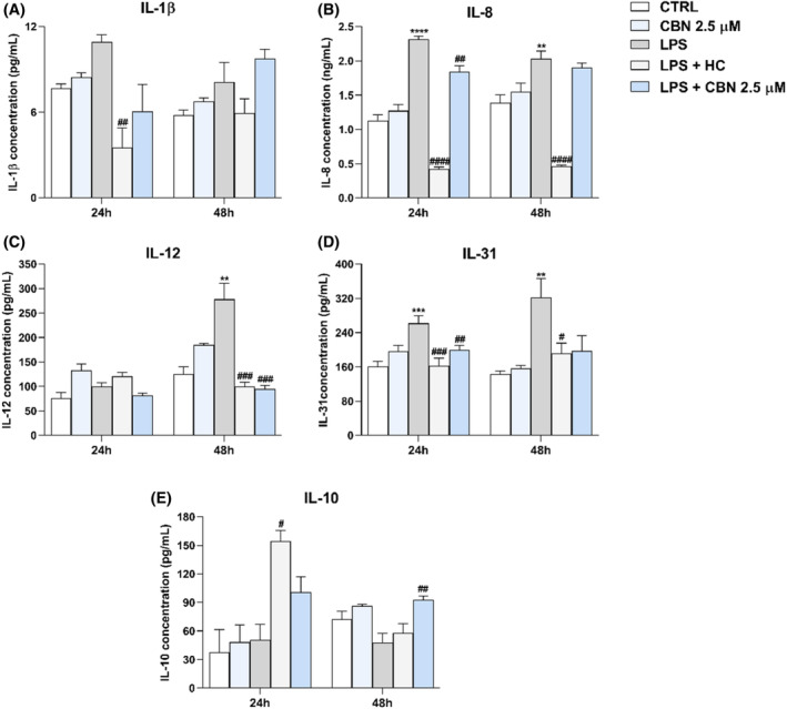 Release of ILs after HaCaT cells exposure to 2.5 μM CBN alone, 5.0 μg/mL LPS, 10 μM HC, and 2.5 μM CBN in the presence of LPS for 24 and 48h. (A) IL‐1β expression (pg/mL); (B) IL‐8 expression (ng/mL); (C) IL‐12 expression (pg/mL); (D) IL‐31 expression (pg/mL); and (E) IL‐10 expression (pg/mL). Data are presented as the mean ± SEM of three independent experiments (n = 3). Statistical analysis was performed using a one‐way ANOVA test followed by a Bonferroni post hoc test (**p < 0.01, ***p < 0.001, ****p < 0.0001 vs. CTRL; # p < 0.05, ## p < 0.01, ### p < 0.001, #### p < 0.0001 vs. LPS).