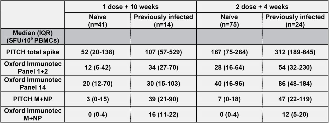 Table showing the median and interquartile range for T cell responses to SARS-CoV-2 spike and structural proteins measured by PITCH ELISpot and Oxford Immunotec T-SPOT assays, subdivided by timepoint after vaccination and infection status. Healthcare workers received phlebotomy at 10 weeks post 1st dose (1 dose + 10 weeks) and/or at 4 weeks post 2nd dose (2 dose + 4 weeks). Infection status is divided into two groups: naïve and previously infected. All reported values are measured in spot forming units/106 peripheral blood mononuclear cells (SFU/ 106 PBMCs). IQR denotes interquartile range.