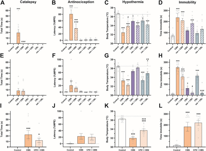 CBN and CBL effects occur via multiple receptor mechanisms. The tetrad effects of CBN, CBC, and CBL were challenged using (A-D) the CB1-selective antagonist rimonabant (3 mg/kg, i.p.) and (E-H) the adenosine A2A-selective antagonist istradefylline (3.2 mg/kg, i.p.). I-L CBN’s effects were also challenged using the TRPV1-selective antagonist capsazepine (5 mg/kg, i.p.). Dashed line in C, G, & K indicates average baseline body temperature. Data are expressed as mean ± SEM (n = 9–10 [4–5 M/4–5 F]). *-***p < 0.05-0.0005 vs. vehicle control, #-###p < 0.05-0.0005 vs. drug-matched control