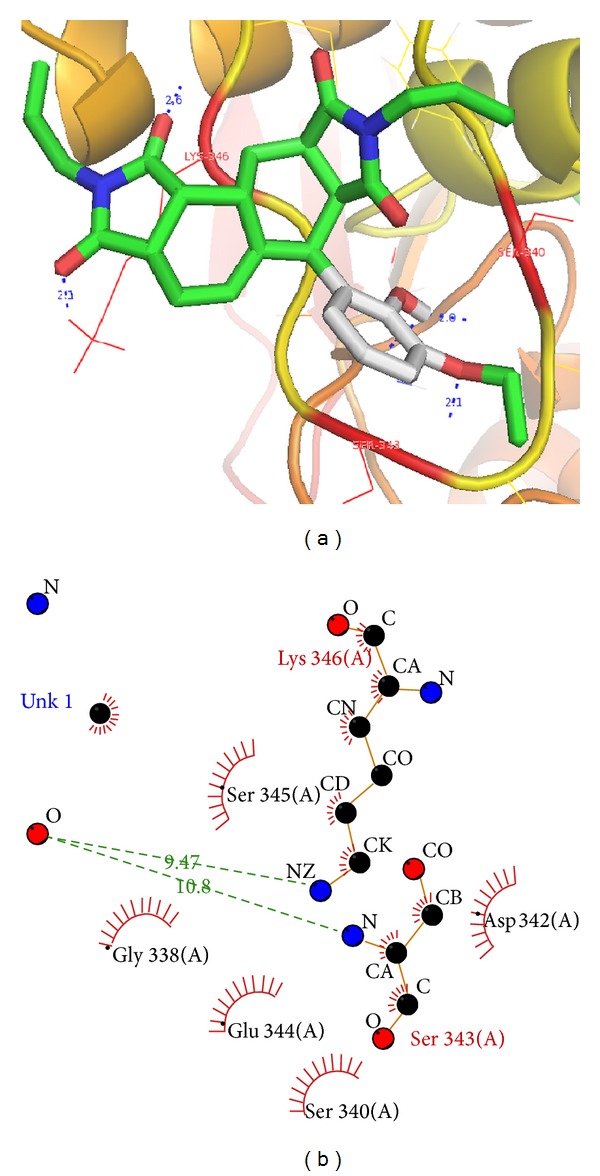 Docking and Ligplot interaction of AChE/CID: 1990283 (C28H34N2O6) after simulation, (a) Docked ligand in active binding pocket, (b) 2D diagram of ligand and protein residue contacts.