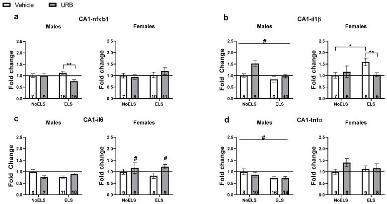 Chronic late adolescence URB597 treatment ameliorates ELS-induced changes in inflammatory gene expression in the hippocampal CA1. (a) In ELS males (left), URB treatment downregulated nfκb1 expression. In females (right), no significant differences were found in nfκb1 expression. (b) In males (left), ELS downregulated il1β expression. In females (right), URB treatment normalized ELS-induced il1β upregulation. (c) In males (left), no significant differences were found in il6 expression. In females (right), URB treatment upregulated il6 expression compared to the vehicle groups. (d) In males (left), ELS downregulated tnfα expression. In females (right), no significant differences were found in tnfα expression. ELS: early life stress; URB: URB597. *, p < 0.05; **, p < 0.01 indicate statistically significant effects followed by post hoc comparisons; #, p < 0.05 indicate statistical significance in main effects.