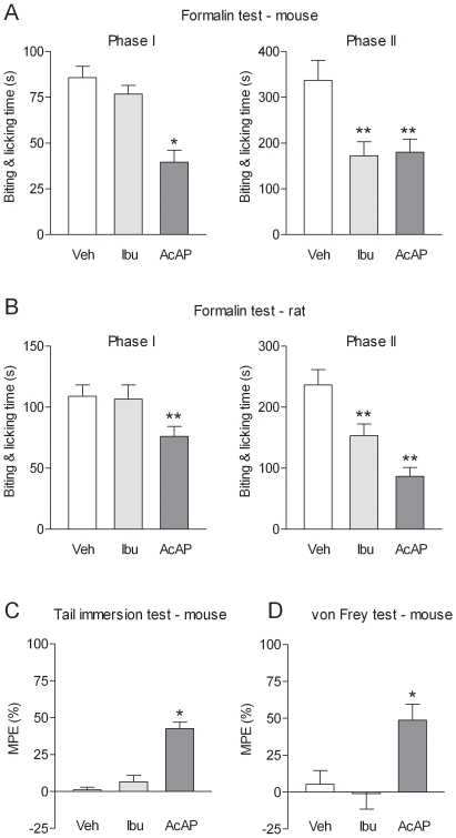 Comparison of the effects of acetaminophen and ibuprofen in various pain tests.(A) The antinociceptive effects of oral administration of acetaminophen (AcAP; 200 mg/kg in mice and 300 mg/kg in rats) and intraperitoneal injection of ibuprofen (Ibu; 100 mg/kg) were assessed in (A,B) the formalin test, (C) the tail immersion test and (D) the von Frey test. In the first phase of the formalin test as well as the von Frey and the tail immersion tests, acetaminophen produced an antinociceptive effect, whereas ibuprofen was ineffective. Acetaminophen and ibuprofen inhibited the nociceptive behavior during the second phase of the formalin test. In the tail immersion and von Frey test tests, results are expressed as MPE (5): [(post-treatment score – pre-treatment score)/(cut-off value – pre-treatment score) ×100]. Basal pre-treatment threshold responses were 7.29±0.43 s in the tail immersion test and 0.67±0.08 g in the von Frey test, respectively. All tests were performed 20 min after acetaminophen or ibuprofen administration. Data are presented as mean ± SEM (n = 6–8 per group). *P<0.05, **P<0.01 compared to vehicle.