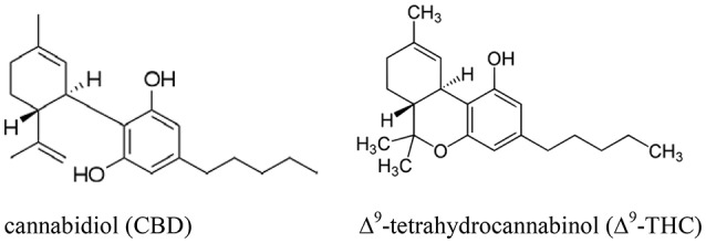 The chemical structures of cannabidiol (CBD, left) and Δ9-tetrahydrocannabinol (Δ9-THC, right).