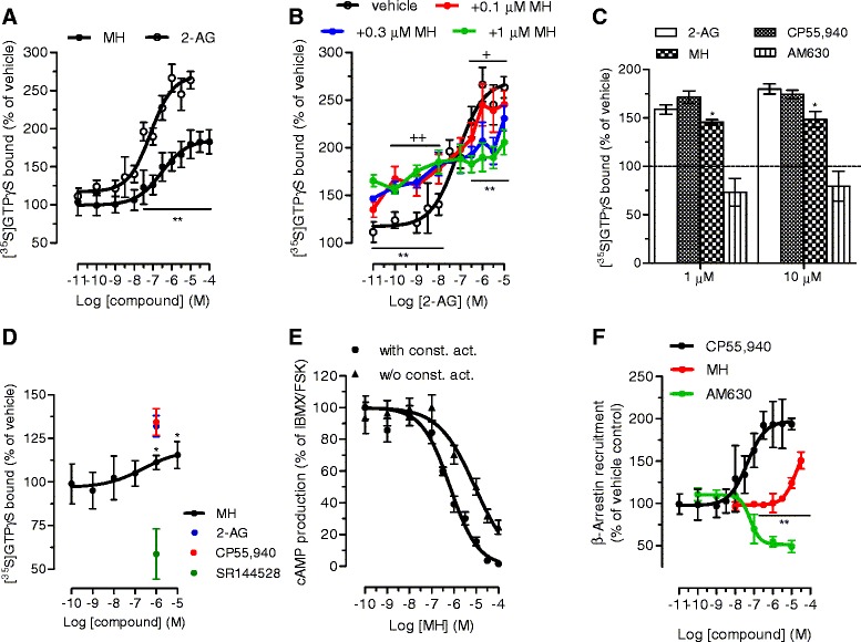 Modulation of CB2 receptor activity by MH. (A) [35S]GTPγS binding assay was performed in stably hCB2 receptor overexpressing CHO-K1 membranes, in the presence of different concentrations of MH and 2-AG alone or (B) in combination. The same experiments were performed in endogenously CB2 expressing (C) HL60 cells and (D) mouse spleen membranes. (E) Inhibition of forskolin-induced cAMP formation by MH in CHO-hCB2 cells transfected with pGloSensorTM 22-F plasmid. The experiments were performed in the presence (circles) and in the absence (triangles) of constitutive activity. (F) β-arrestin recruitment induced by increasing concentrations of MH, CP55,940, and AM630, measured in PathHunter® β-arrestin cells (CHO-K1-HOMSA-CNR2). ** P < 0.01 MH vs. 2-AG (Figure 2A); ** P < 0.01 MH (1 μM) plus 2-AG vs. 2-AG, ++ P < 0.01, + P < 0.05 MH (0.3 μM) plus 2-AG vs. 2-AG (Figure 2B). * P < 0.05 MH vs. 2-AG and CP55,940 (Figures 2C, D).** P < 0.01 MH vs. CP55,940 (Figure 2F).