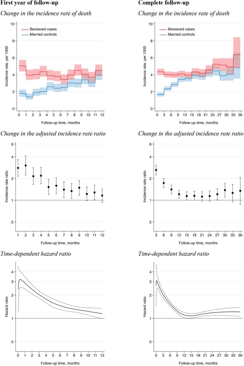 Time-varying association of spousal loss with mortalityThe change in the incidence rate ratio over time was obtained from a piecewise unconditional Poisson regression model adjusted for sex, age, level of education, chronic obstructive pulmonary disease, diabetes, chronic heart failure, history of ischemic heart diseases and history of solid cancer in the previous 5 years, and number of other chronic diseases. Flexible parametric survival regression models using restricted cubic splines with 4 knots were fitted in order to plot a smooth curve of the hazard ratio for death as a function of time since spousal loss. Dotted lines indicate 95% confidence intervals.